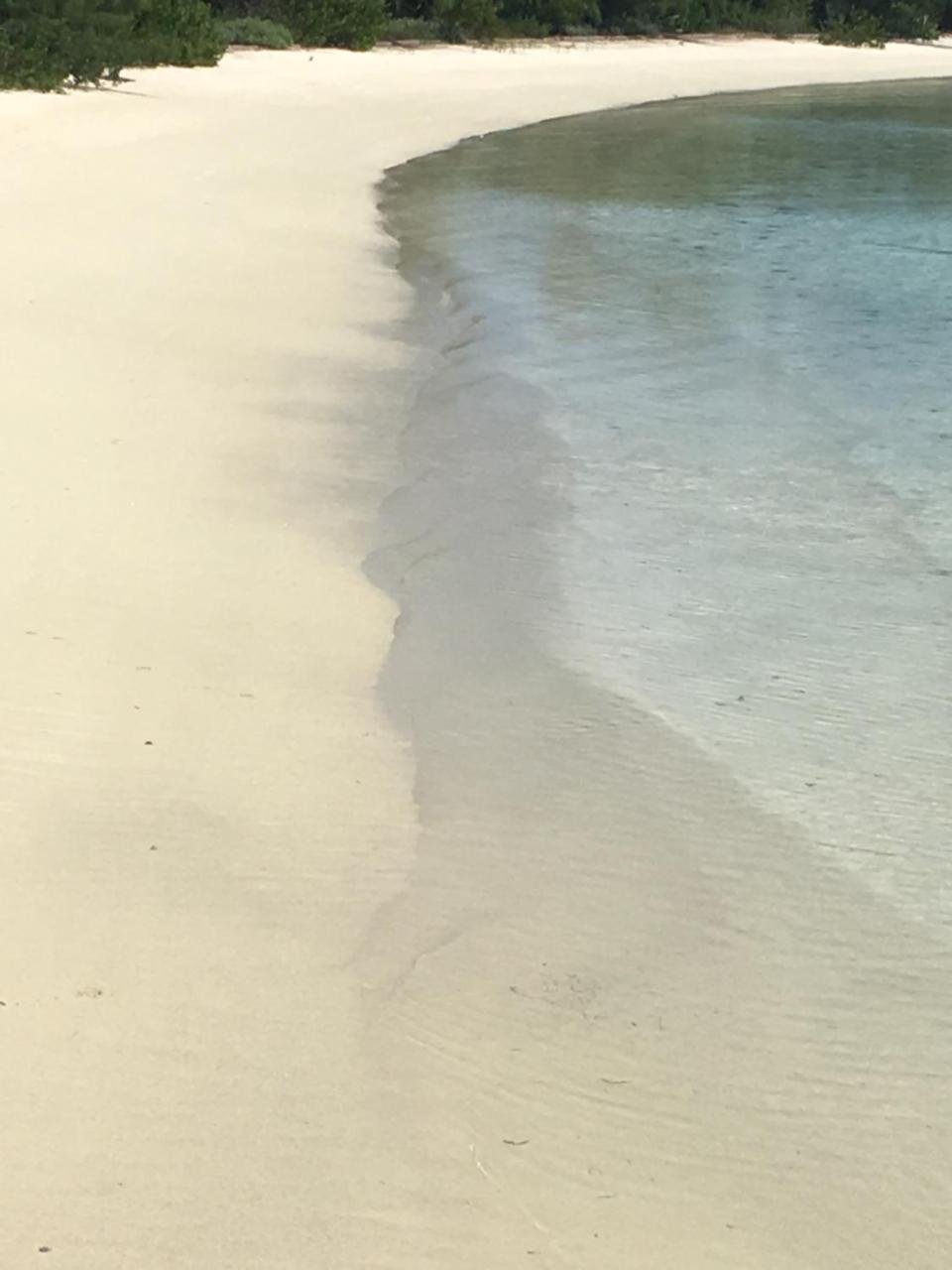 Ocean Tally Upper Bogue Εξωτερικό φωτογραφία