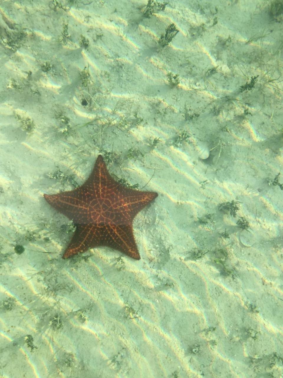 Ocean Tally Upper Bogue Εξωτερικό φωτογραφία